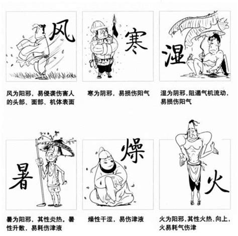 邪氣的意思|《中醫詞典》解釋「邪氣」的意思